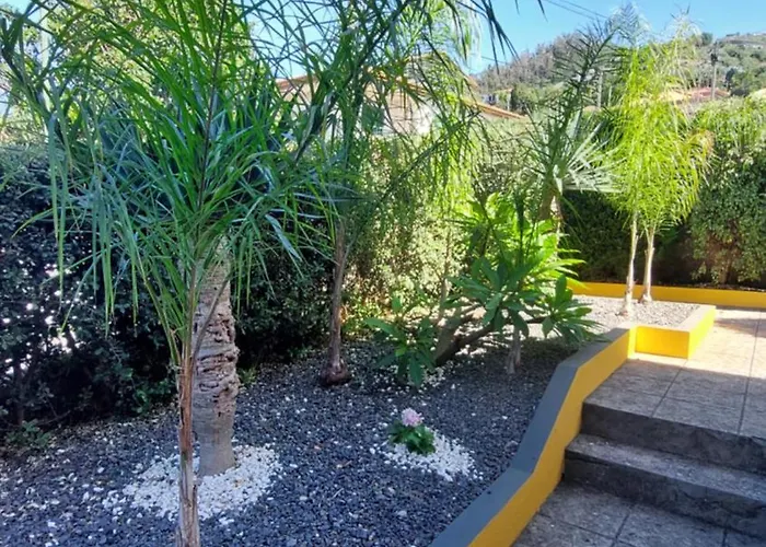 Strelitzia Βίλα Φουνκάλ