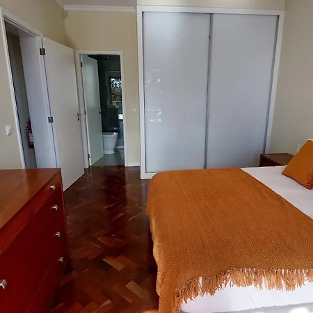 Strelitzia * Funchal