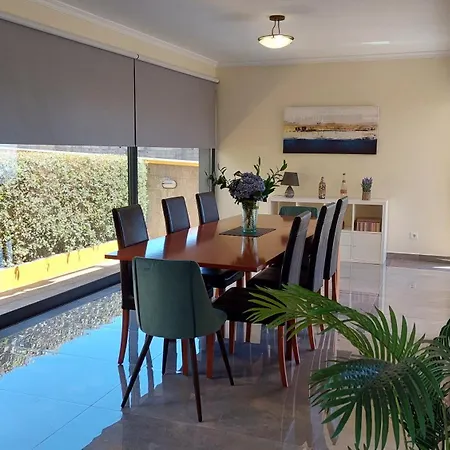 Strelitzia * Funchal