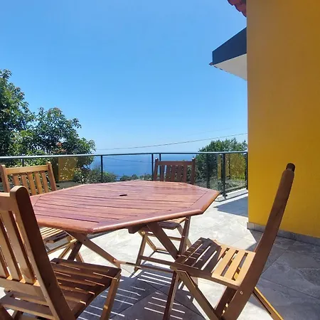 Strelitzia Villa Funchal