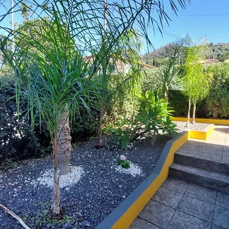 Strelitzia Villa Funchal