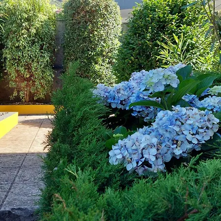 Strelitzia Villa Funchal