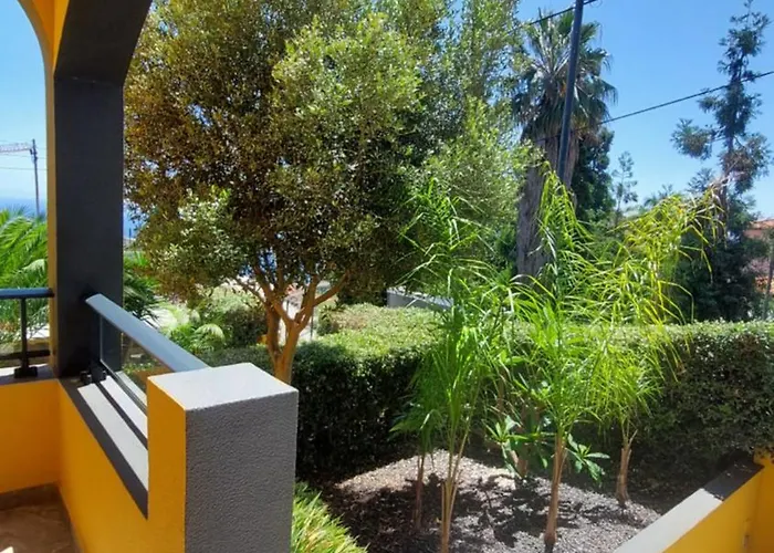 Strelitzia * Funchal (Madeira)