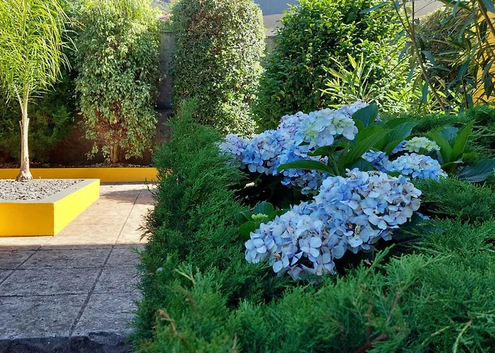 Strelitzia Villa Funchal (Madeira)